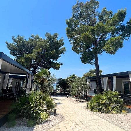 Dalmaris Camp - Prestige Mobile Homes Biograd Na Moru Exteriör bild