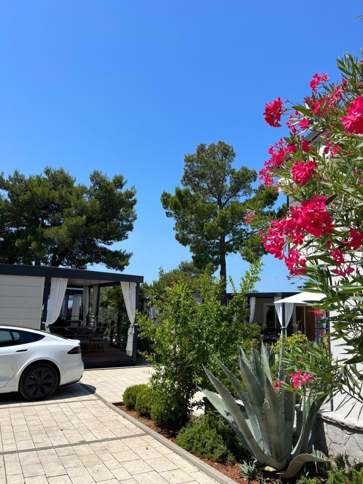 Dalmaris Camp - Prestige Mobile Homes Biograd Na Moru Exteriör bild
