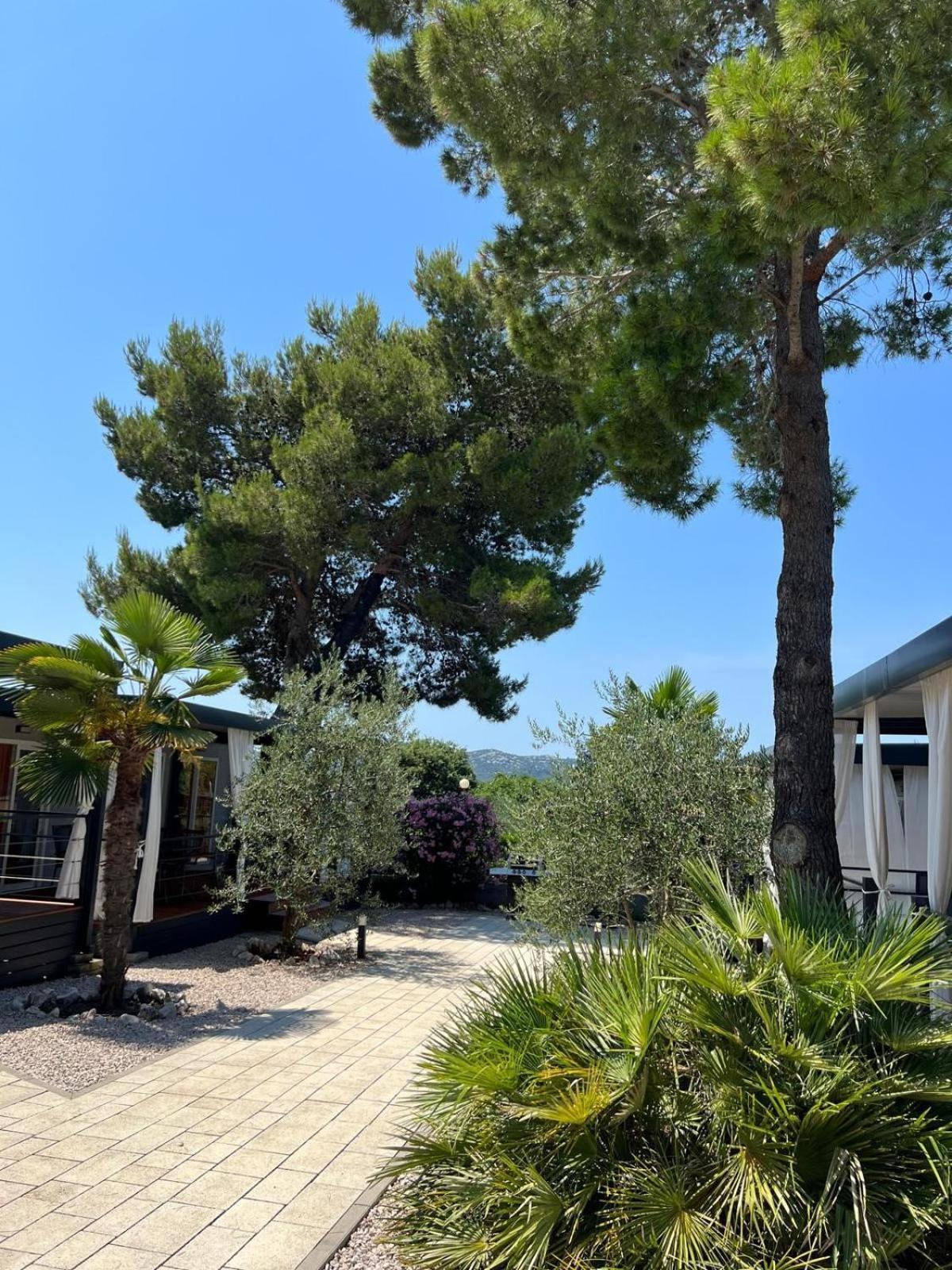 Dalmaris Camp - Prestige Mobile Homes Biograd Na Moru Exteriör bild